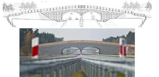 Steel corrugated arch save cost than beam bridge
